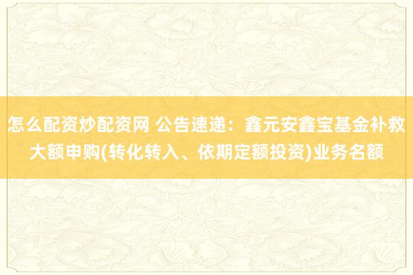 怎么配资炒配资网 公告速递：鑫元安鑫宝基金补救大额申购(转化转入、依期定额投资)业务名额