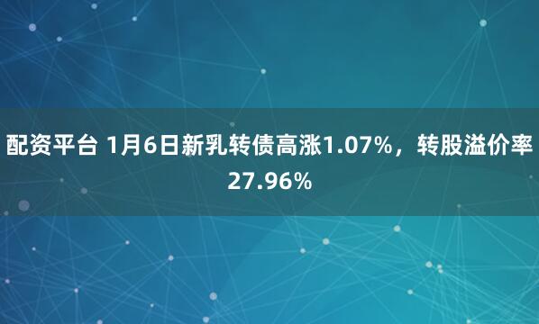 配资平台 1月6日新乳转债高涨1.07%，转股溢价率27.96%