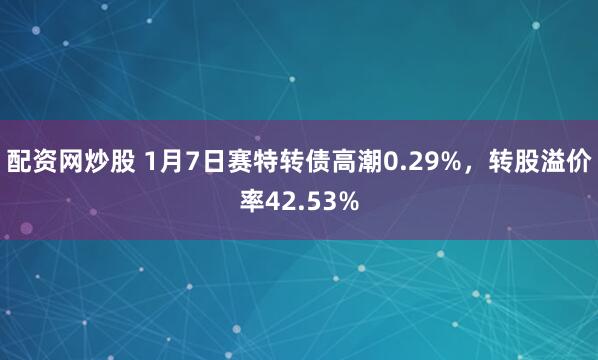 配资网炒股 1月7日赛特转债高潮0.29%，转股溢价率42.53%