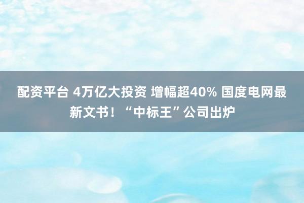 配资平台 4万亿大投资 增幅超40% 国度电网最新文书！“中标王”公司出炉